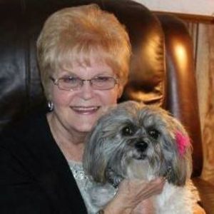 Meet your Posher, Joyce